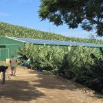 Outlook Farm